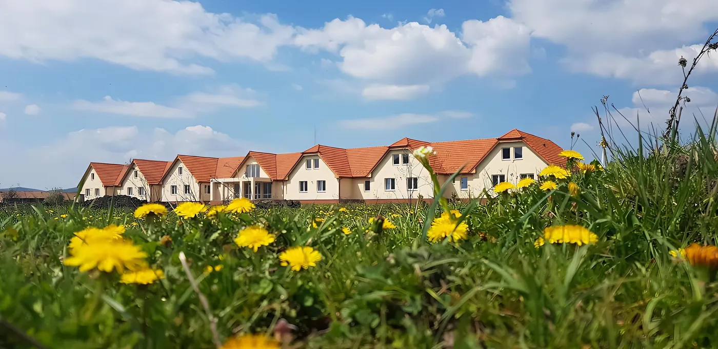 Casa Tulipán – imaginea 1