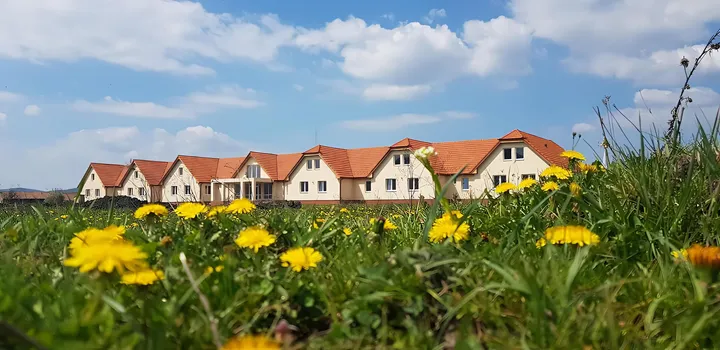 Casa Tulipán – imaginea 1