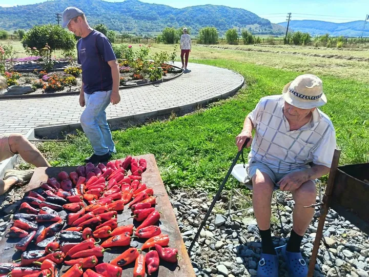 Gustul toamnei – am copt ardei împreună