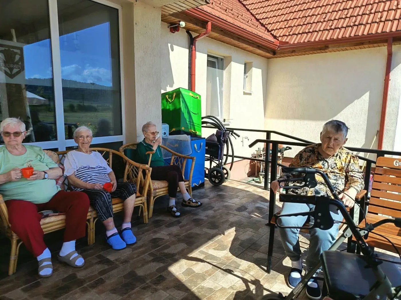 Gustul toamnei – am copt ardei împreună
