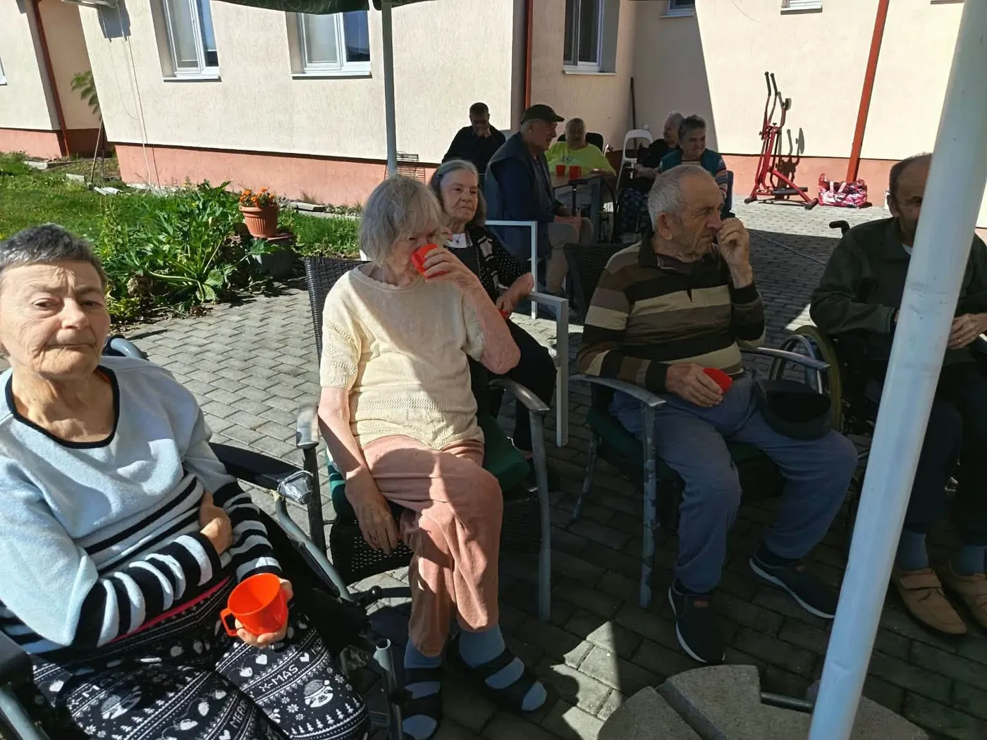 Gustul toamnei – am copt ardei împreună